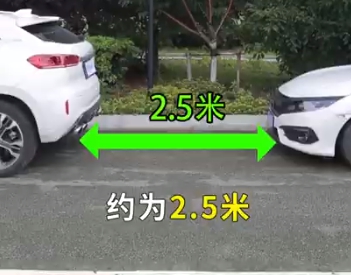 道路駕駛